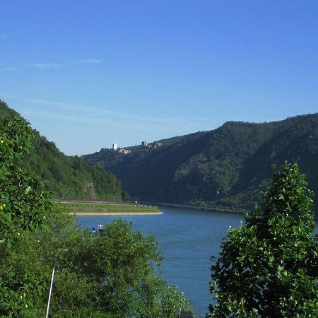 Pension / Ferienwohnungen Scheid Kestert Экстерьер фото