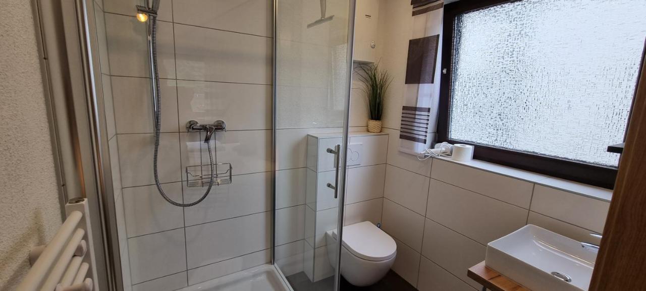 Pension / Ferienwohnungen Scheid Kestert Экстерьер фото