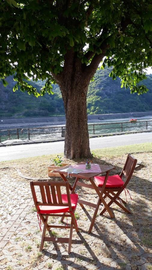 Pension / Ferienwohnungen Scheid Kestert Экстерьер фото