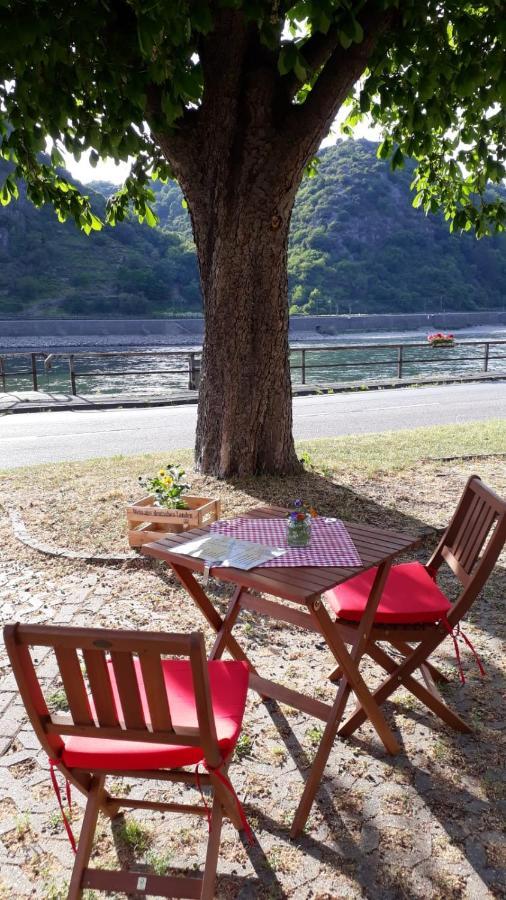 Pension / Ferienwohnungen Scheid Kestert Экстерьер фото